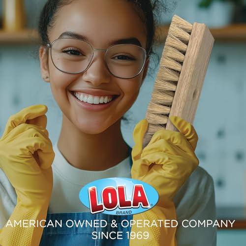 Deck Scrub Brush