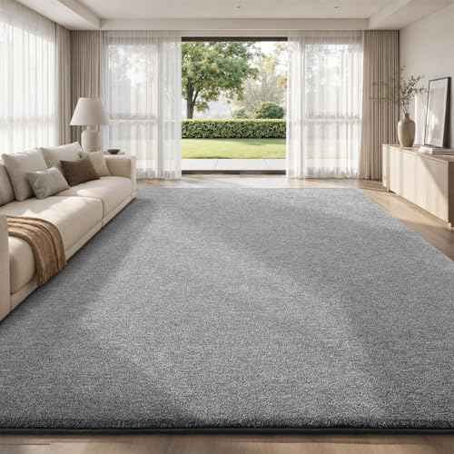 10x14 Area Rugs for Living Room Bedroom