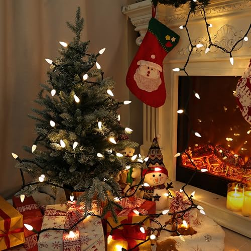 Christmas Lights Outdoor (33 Foot)