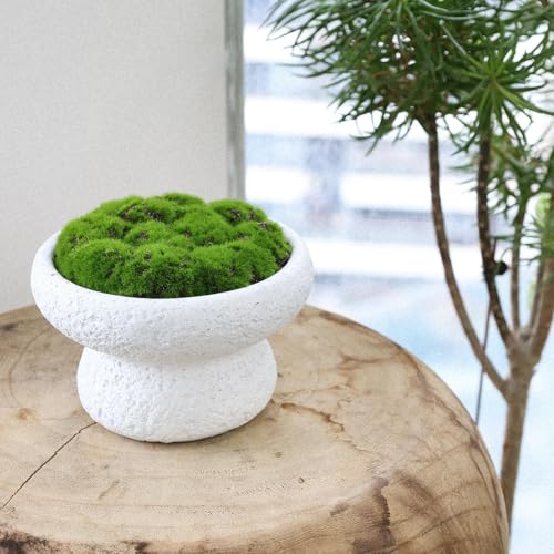 6'' Handmade Cement Bowl