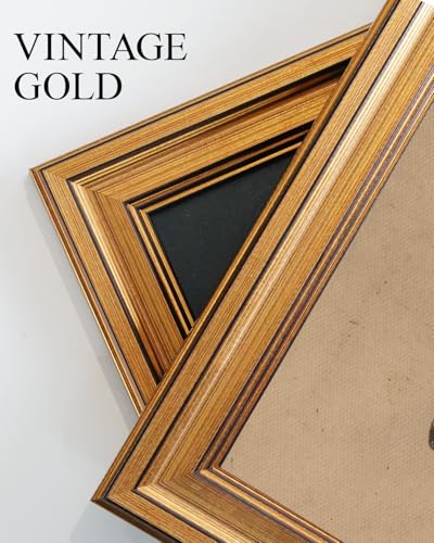Vintage Gold Framed Wall Art