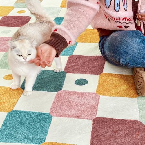 6x9 Classroom Rug Washable Kids Rug Colorful Playroom Mat Confetti (54 Sq Ft)