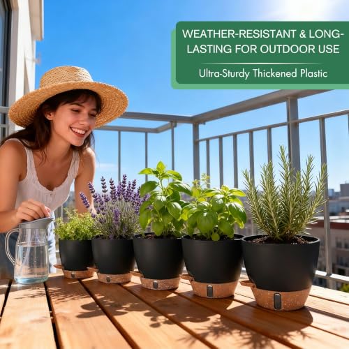 5 Pack Easy Plant Self Watering Pots for Indoor Plants (5 Count)