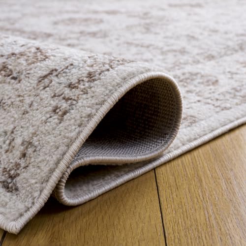 Evoke Accent Rug 4x6 (24 Sq Ft)