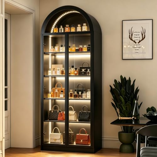 Wooden Curio Cabinet with Acrylic Glass Door