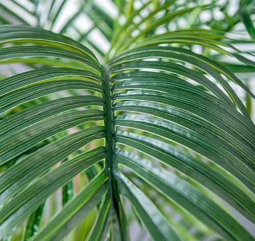 6FT Artificial Palm Tree
