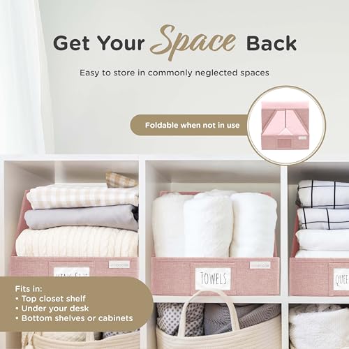 Open Front Trapezoid Closet Bins (3 Count)