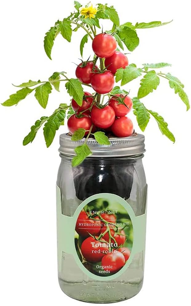 Hydroponic Tomato Growing Kit, Self-Watering Mason Jar Tomato Garden Starter Kit Indoor, Grow Tomatoes from Organic Seeds (Red Robin Tomato)