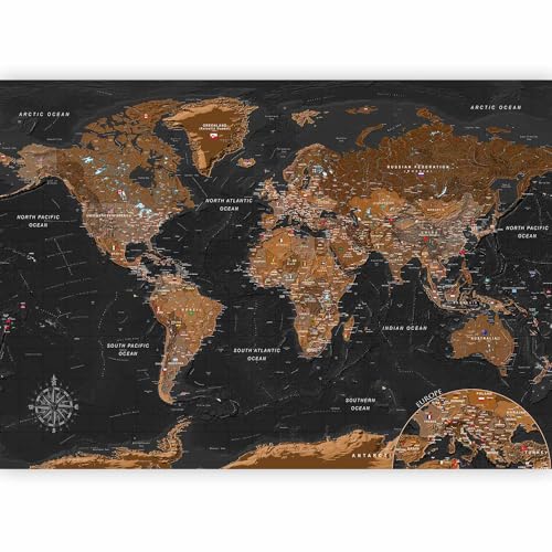 Wall Mural World Map 157x110 in (120.55 Sq Ft)
