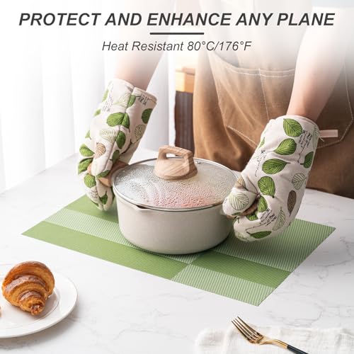 Placemats Set of 6 Washable Indoor (6 Count)