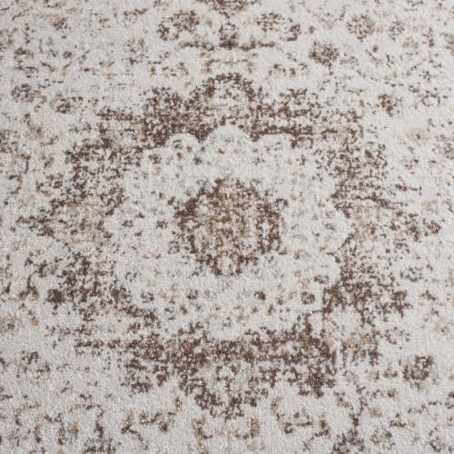 Evoke Accent Rug 4x6 (24 Sq Ft)