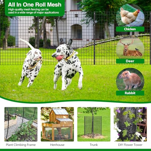Wire Fence 100 ft