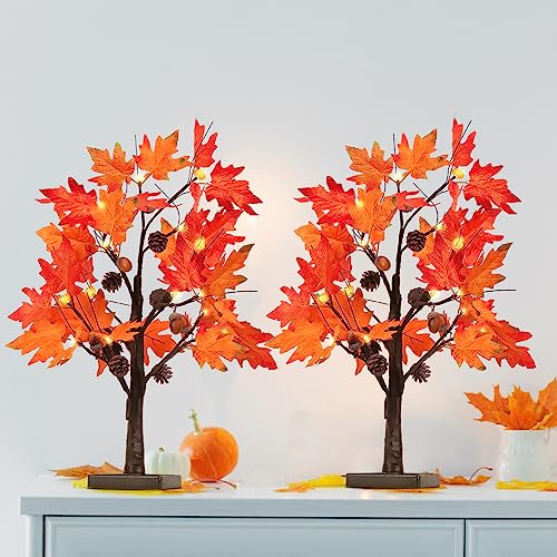 Fall Decorations for Home
