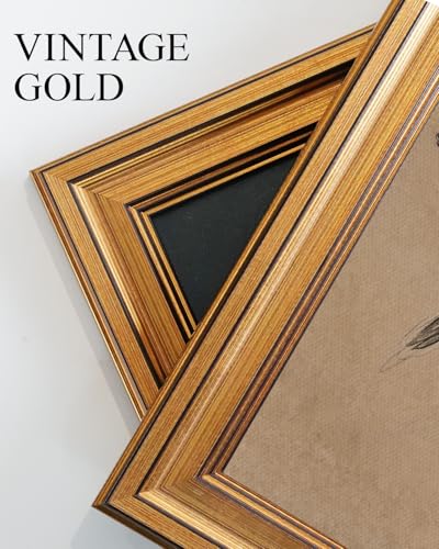 Vintage Gold Framed Wall Art