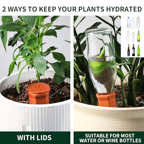Large Terracotta Watering Spikes with Lids (8 Count)
