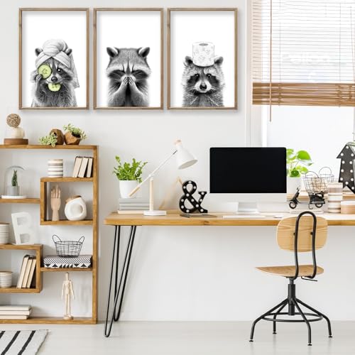 Raccoon Bathroom Wall Decor Art 16x11 Inch Set of 3 Wood