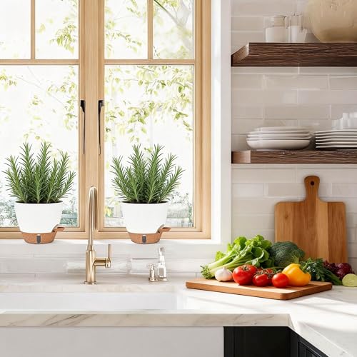 5 Pack Self Watering Flower Pots for Indoor Plants (5 Count)
