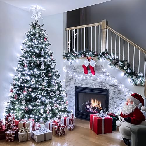 Clear Wire 163ft 500 LED White Christmas Lights Plug in (163 Foot)