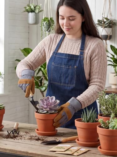 4 Inch Terracotta Pots with Saucers