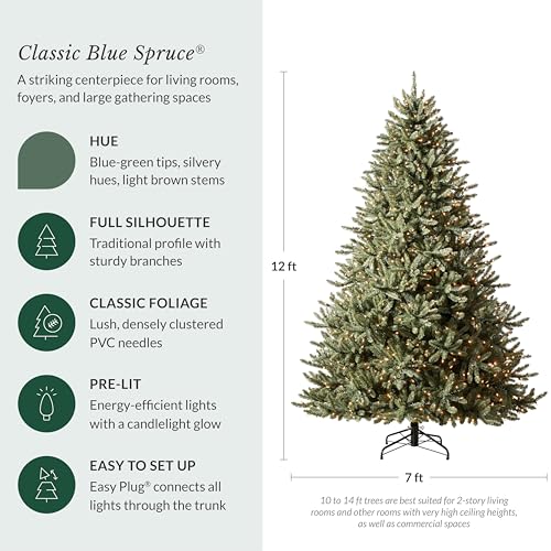 12 ft Pre Lit Classic Blue Spruce