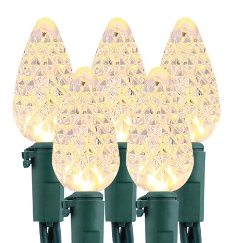 Christmas Lights Outdoor (33 Foot)