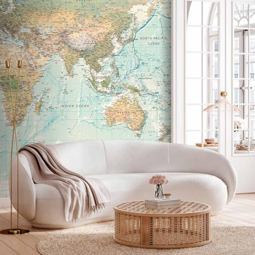 Wall Mural World Map 154x110 in (118.18 Sq Ft)