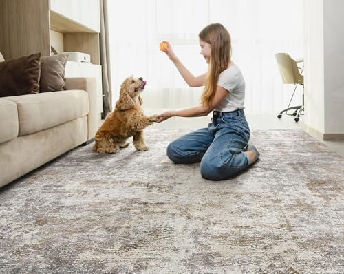 8x10 Area Rug Living Room Rugs (24 Count)