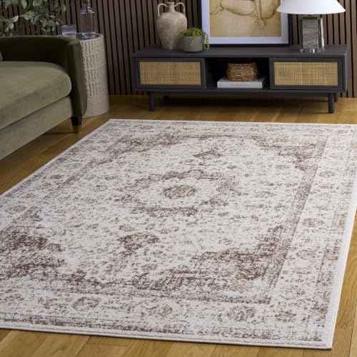 Evoke Accent Rug 4x6 (24 Sq Ft)