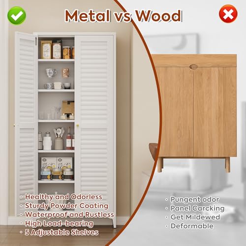 Metal Kitchen Pantry Cabinet with 2 Doors