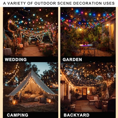 Color Changing Christmas Lights