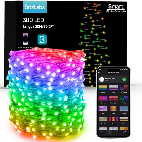 Smart Fairy Lights Color Changing (10 Foot)