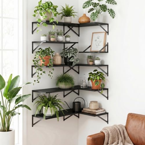 Black Floating Shelves Set of 3