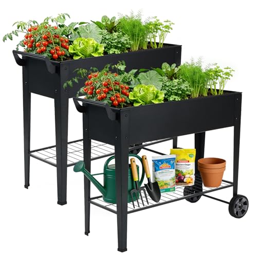 2 Pack 32" Tall Elevated Raised Garden Bed with Wheels and Shelf (2 Count)