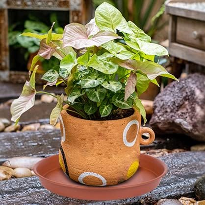 2 Pack of 8 inch Plant Saucer, Bird Bath Bowl 8 inch, Plant Dishes Saucer, Flower Plant Water Trays for Indoors, Plate for Planter 7-9" (8 inch, Terracotta)