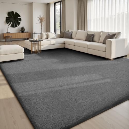 4x6 Area Rugs for Living Room Bedroom (24 Sq Ft)