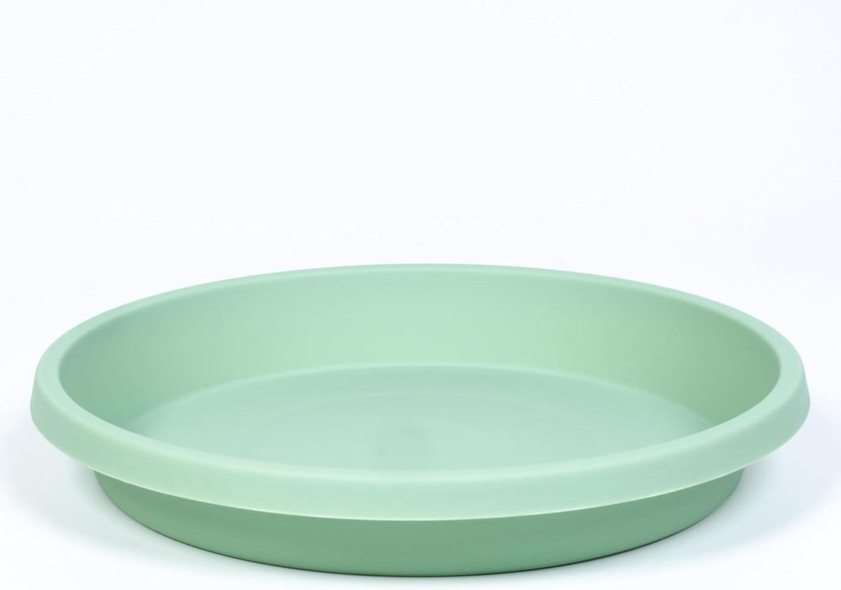 Plant Saucer 8inch 2 Pack
