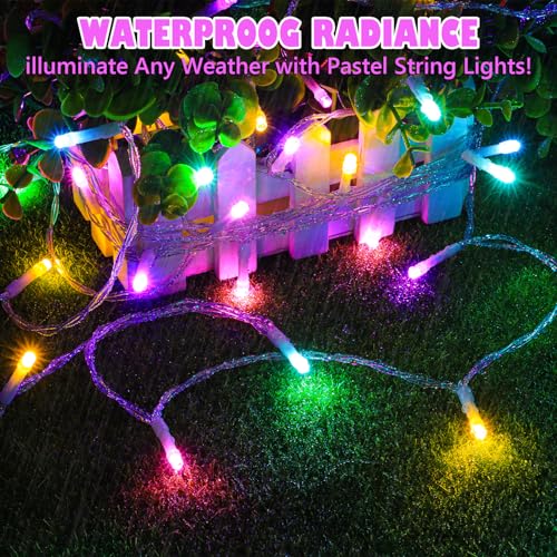 Easter Fairy String Lights Battery Operated (10 Foot)