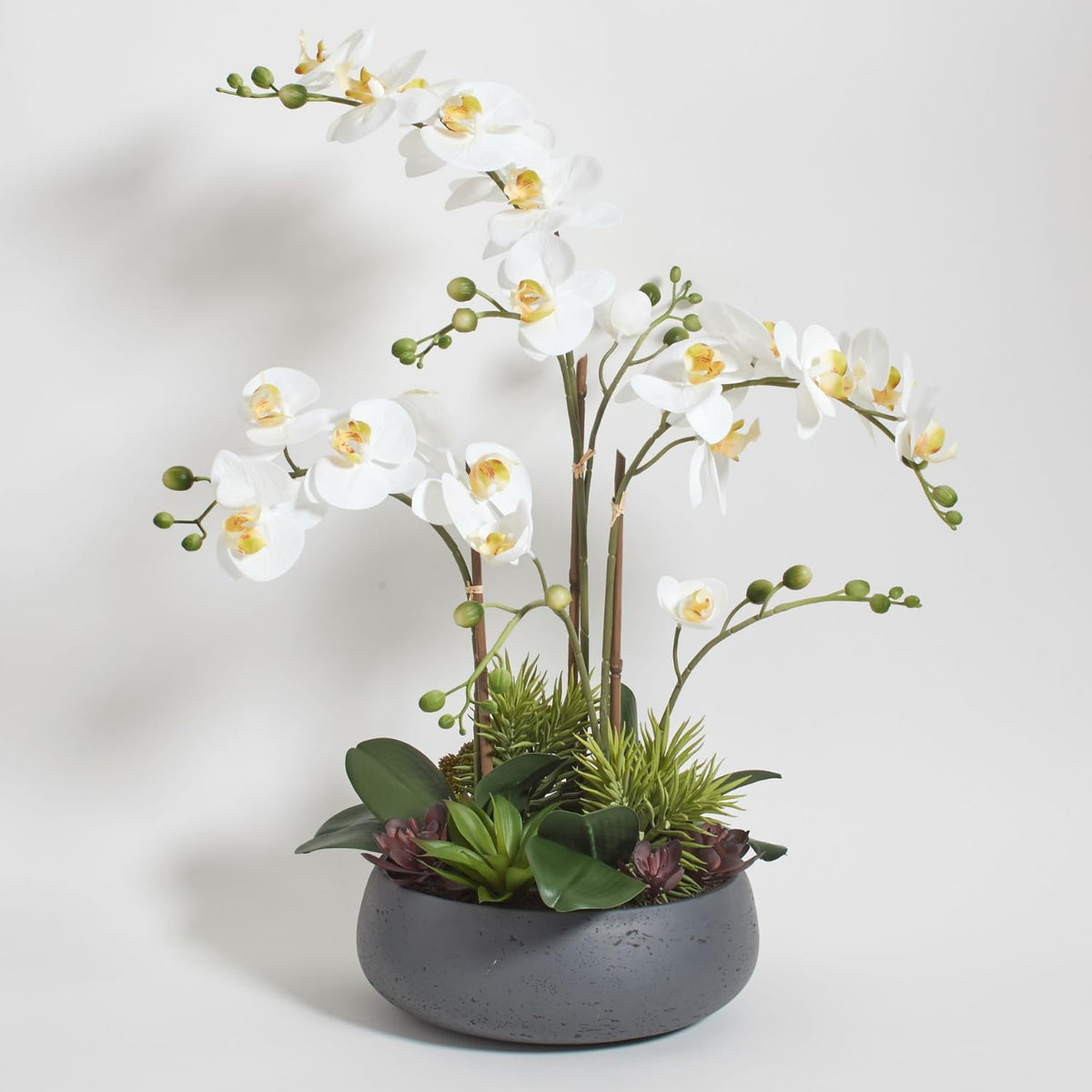 Faux Orchid Plant w/Succulents, Premium Artificial Indoor Flower Display Stands 24” w/Beautiful Sculptural Blooms and Succulents That Lasts Forever, Grey Planter Pot Included