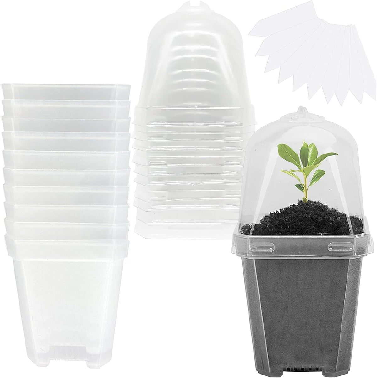 EBaokuup 10PCS Clear Plant Nursery Pots with Humidity Dome - 3" Plastic Gardening Pot with Labels, Durable Plastic Plant Container for Seedlings/Vegetables/Succulents/Cuttings