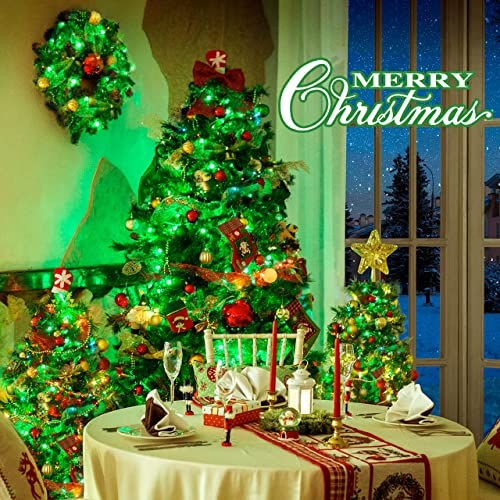 91.5ft Connectable 250 LED Green Christmas String Lights Indoor (91.5 Foot)