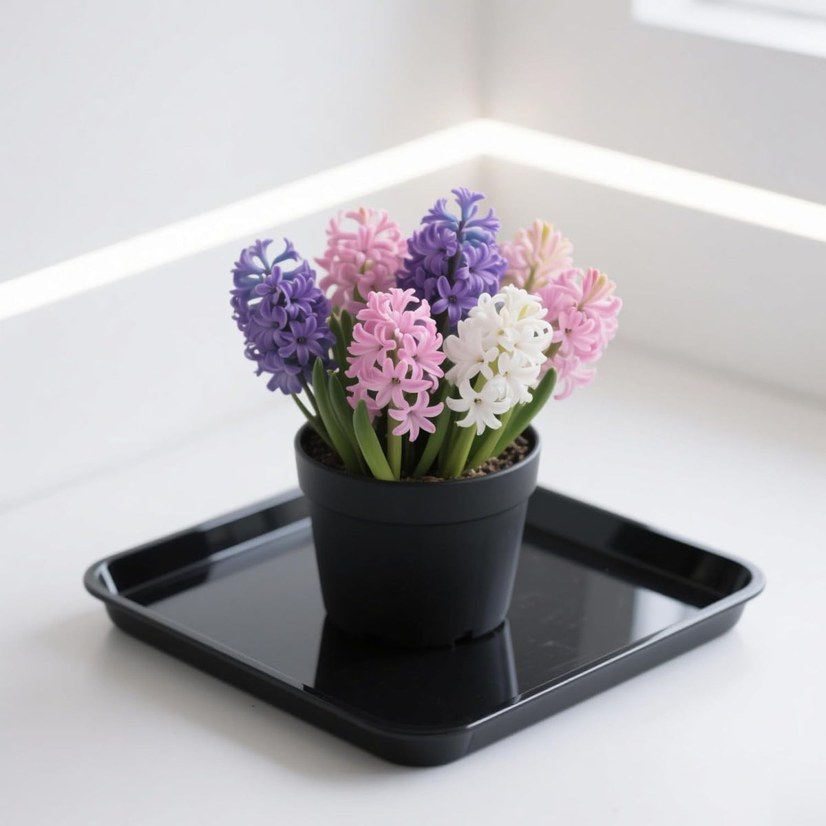 JOIKIT 15 PCS 11.4 x 11.4 x 1.5 Inch Square Plant Saucer, Plastic Plant Saucer Drip Tray, Square Flower Pot Tray for Indoors and Outdoor Plant Pots, Black