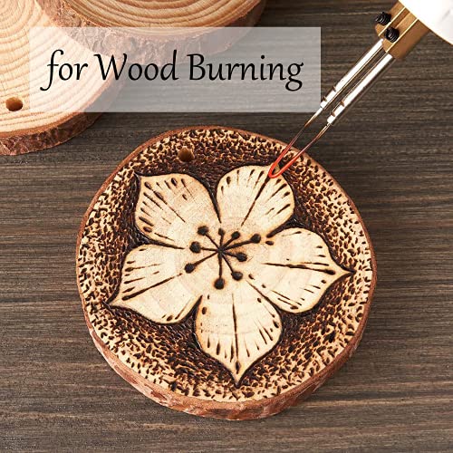 Natural Wood Slices for Crafts (70 Count)