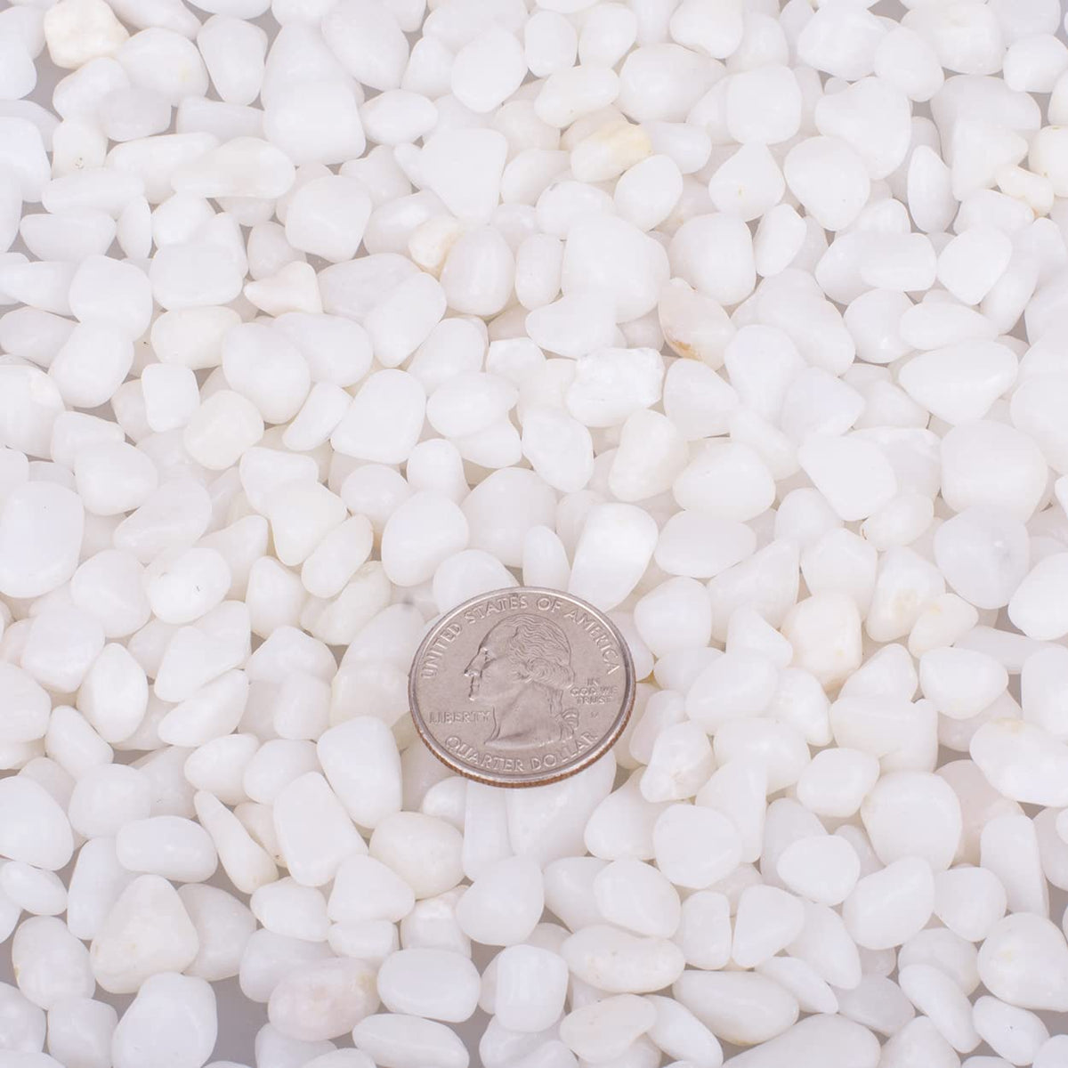 HOT SEAL 3.0 LB White Polished Pebbles 3/8", Natural Decorative Smooth River Rocks, Gravel Size White Small Pebble Stone for Succulent, Bonsai, Potted Plants, Landscaping, Fairy Garden, Aquarium