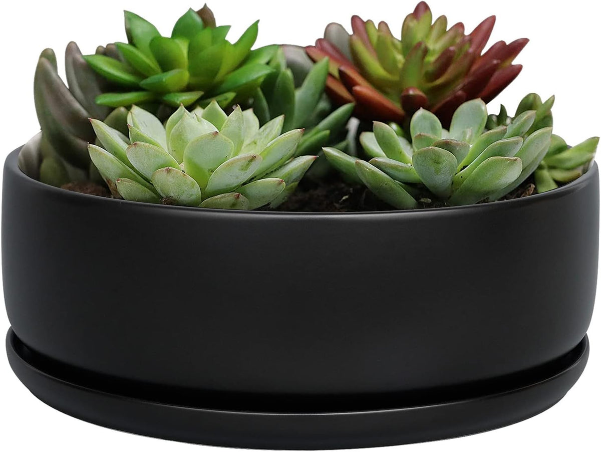 SQOWL 8 Inch Modern Round Flower Pot Black Ceramic Cactus Succulent Planter Pot with Removable Saucer