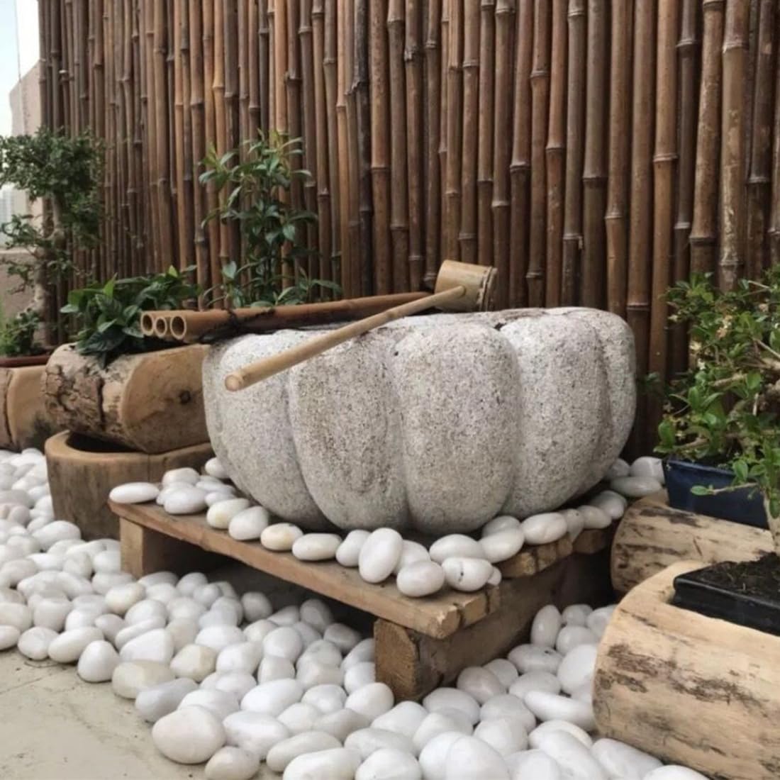 10lbs White River Rocks, 2-3 Inch Natural Pebbles for Indoor Plants, High Polished Decorative Stones Vase Filler Fish Tank Aquariums Landscaping Garden Outdoor and Indoor DIY