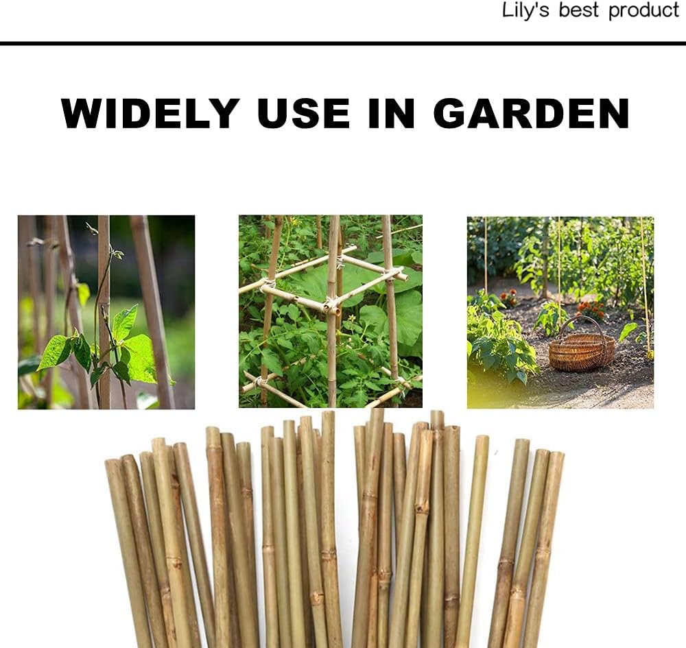 50 Pack 4ft Bamboo Plant Stakes for Wood Garden Sticks，Wooden Plant Supports，Bamboos，Bamboo Trellis，Crafts, More Size Choices 8"/12"/16"//2'/3'/4'/5'/6'