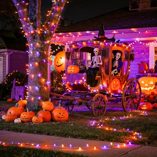 2 Pack Orange Purple Battery Operated Halloween Lights (100 Count)