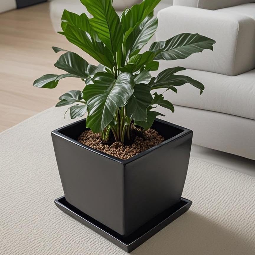 Square Plant Saucer 14 Inch 1 Pack，Plant Trays for Pots, Black Ceramic Plant Saucers for Indoors Outdoors, Plant Drip Tray 4 6 8 10 12 14 Inch
