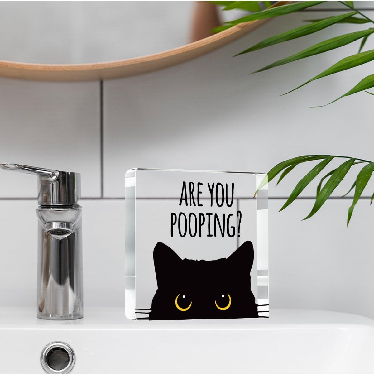 Are You Pooping Funny Sign，Black Cat Decor， Cat Bathroom Decor，Home Decor Bathroom Acrylic Creative Gift Cat Gifts for Women Cat Lovers，Funny Decorate Retro for Home Toilet 4x4 Inches