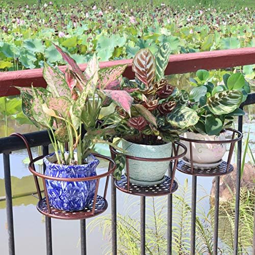 Hanging Rail Planter Baskets Gardening Wrought Iron Hanging Flower Baskets for Home Balconies, Iron Products for Home Grown Plants (Champagne)